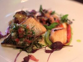 Federer Tries His Hand at Desi Cuisine at Irani Cafe